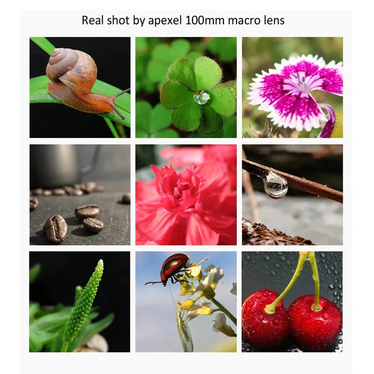 Buy HB100MM 100mm Super Macro 4K HD Lens with CPL & Star Filter for iPhone & Samsung Phones - 100mm Macro Lens at Caseles-Just macro lens, 