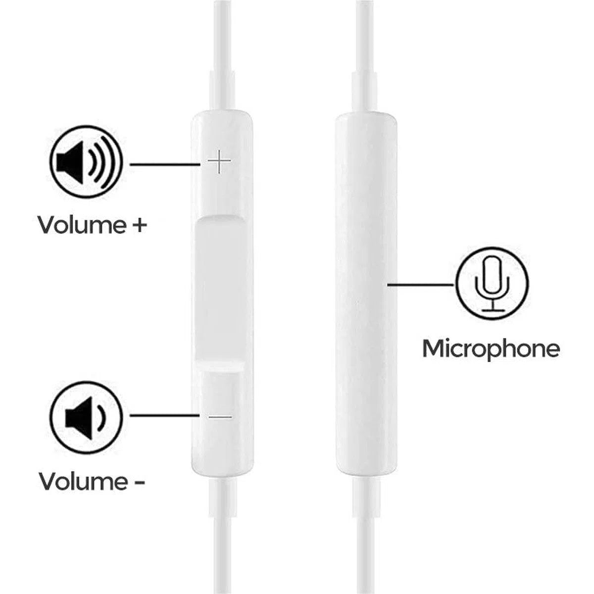 Buy Microphone & Volume Control, wtih Lighting & USB Type C Connector at Caseles-Lighting, 1x